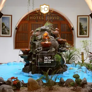 Hotel David ***